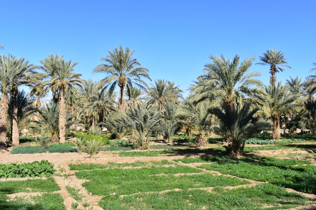 Chez Belkacem Hotel Merzouga Eksteriør billede